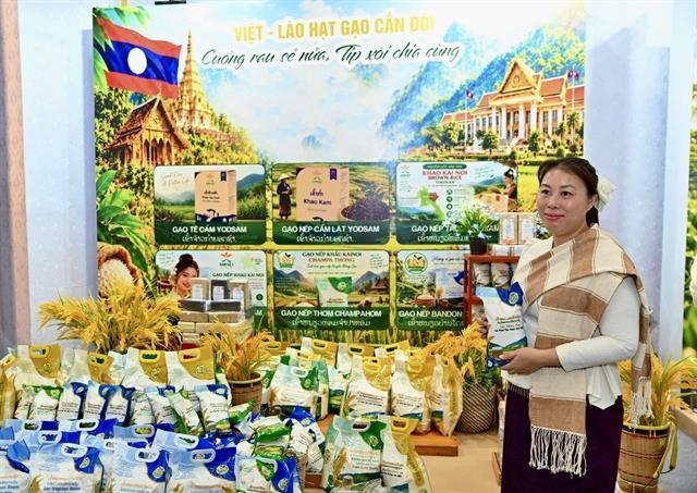 Việt Nam, Laos seek to expand room for trade, investment cooperation