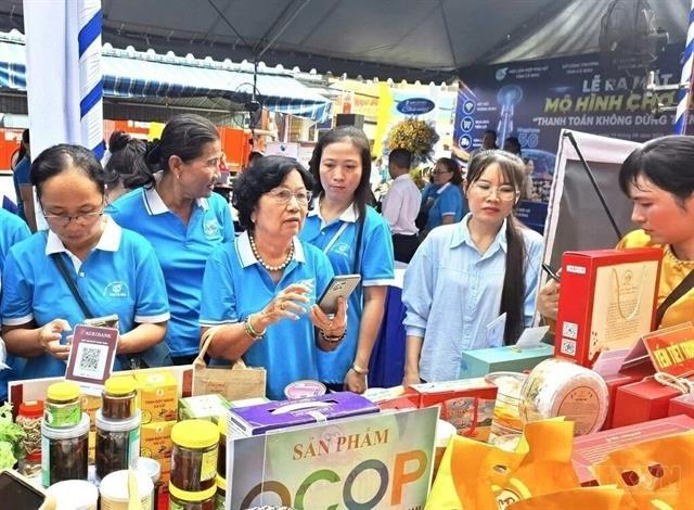 Cà Mau launches portal to support businesses in digital transformation