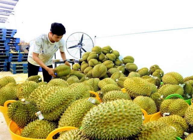 China requires official letters for 20 groups of agricultural imports