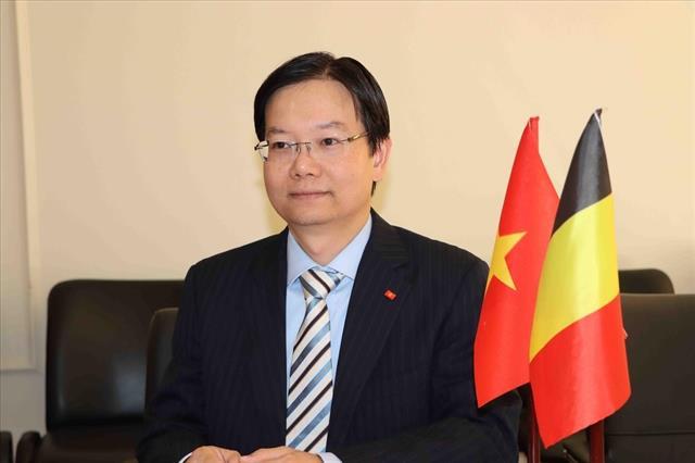Belgian firms suggested to expand presence in Vietnamese market