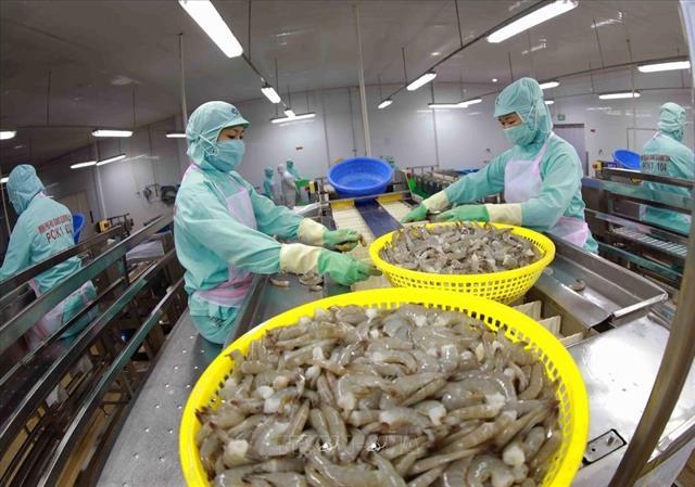 Việt Nams shrimp exports gain dual boost from key markets