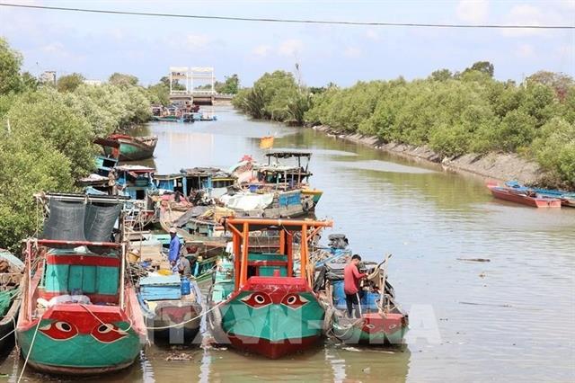 Đồng Tháp restructures fishing fleet towards sustainable harvesting of resources
