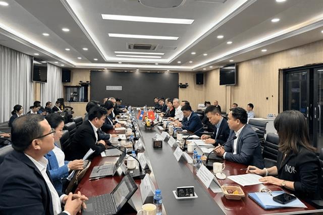 Việt Nam, Laos advance energy cooperation
