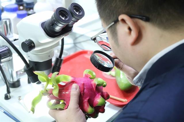 Decree 46 pause offers relief, but highlights need for policy predictability