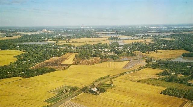 Fragrant rice deepens EU market presence