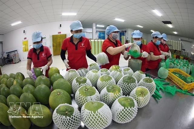Efforts made to reinforce foundations of Việt Nams fruit, vegetable value chains