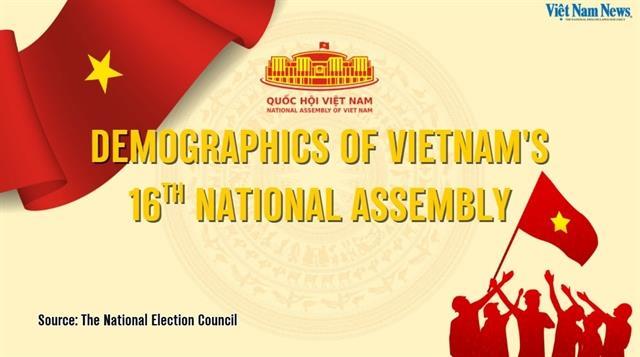 Demographics of Việt Nams 16th National Assembly