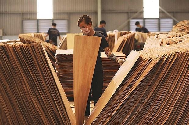 US imposes preliminary anti-dumping duties of nearly 195 per cent on Vietnamese plywood