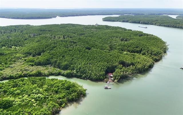 Training provided to boost corporate readiness for pilot carbon market