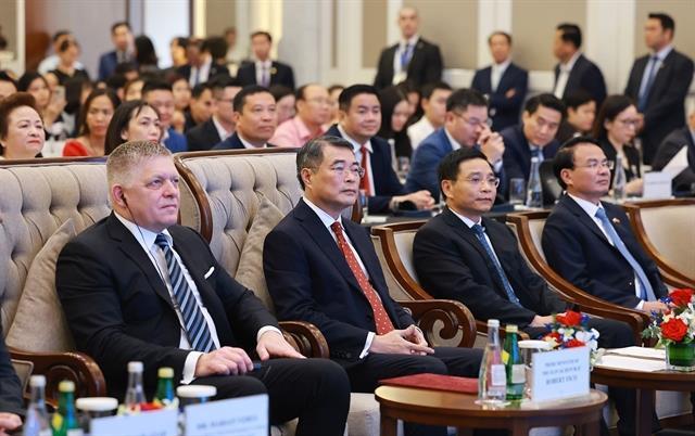 Slovakia pledges support for Vietnamese businesses