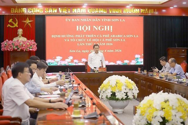 Arabica coffee ambitions brew in Sơn La