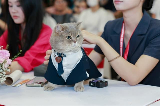 Pets in the spotlight