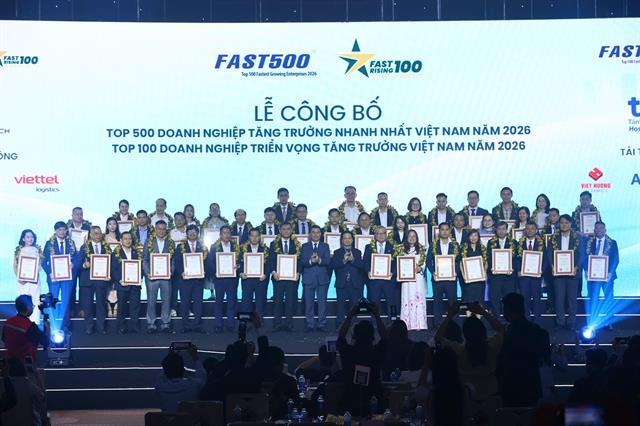 Resilience alone not enough for firms to thrive, experts say