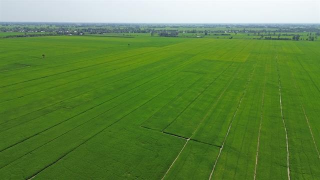 State loan subsidies to be tied to environmental standards