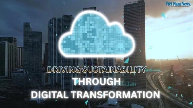 Driving sustainability through digital transformation