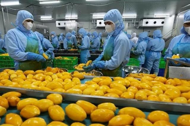 Việt Nam turns challenges into opportunities: World Bank