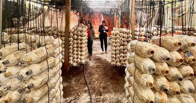 Modern retail opens doors for small-scale farmers