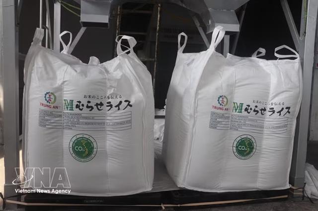 70,000 tonnes of rice granted Low-emission Green Vietnamese Rice label