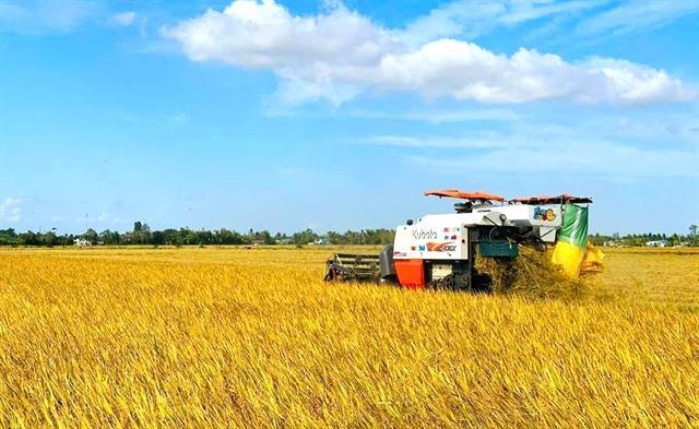 Agricultural cooperatives cash in on carbon credit market