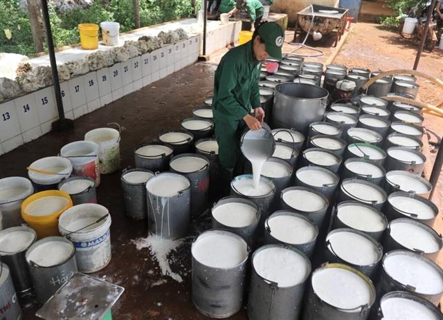 Rubber stocks rally as natural rubber prices hit nine-year high