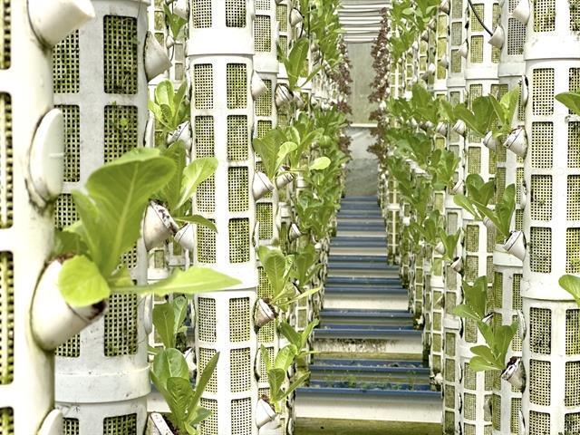 Agriculture business rating programme launched to improve access to finance