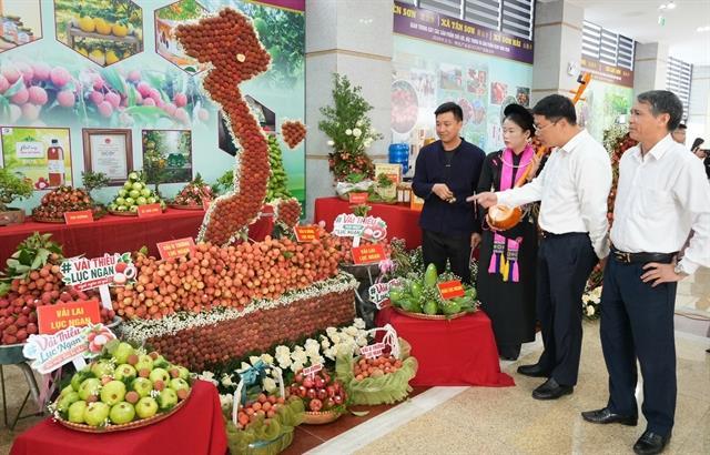 Bắc Ninh pushes lychee value chains to boost exports
