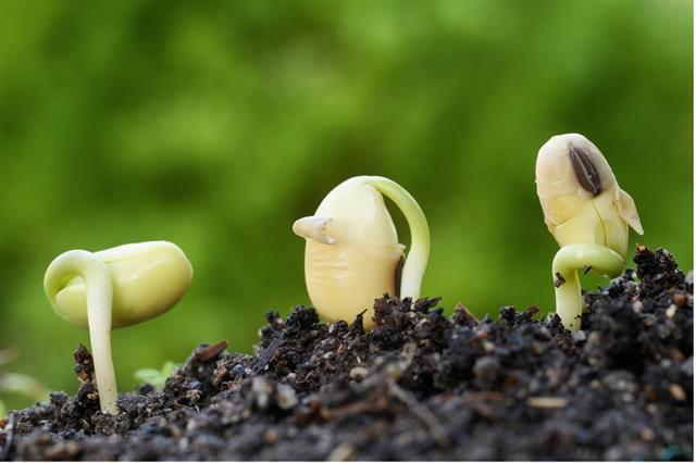 Việt Nams food system features strong access, supply: report