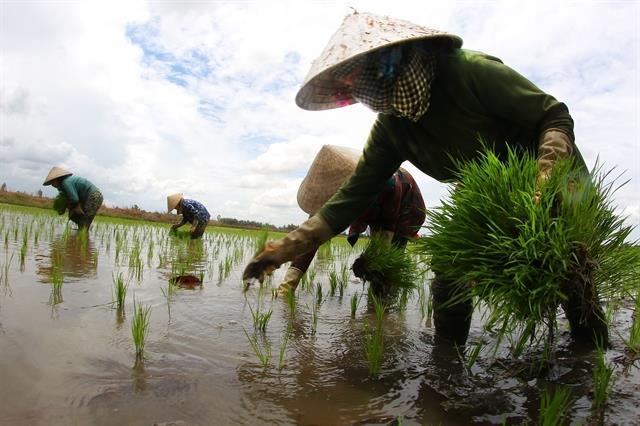 Soil health critical for agricultural resilience as degradation becomes alarming