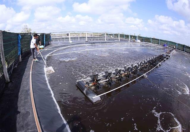 By-product goldmine opens doors for fisheries sector