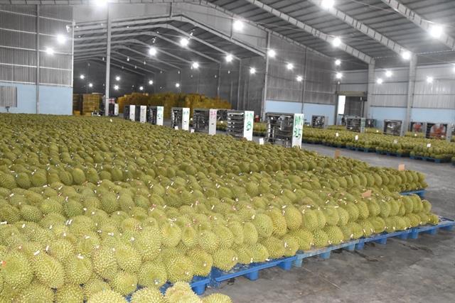 Ministry orders urgent measures to ease testing bottlenecks, support durian exports