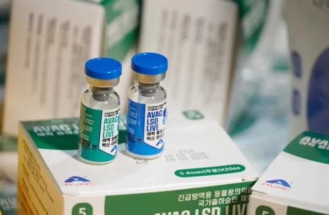 Vietnamese-made LSD vaccine enters demanding RoK market
