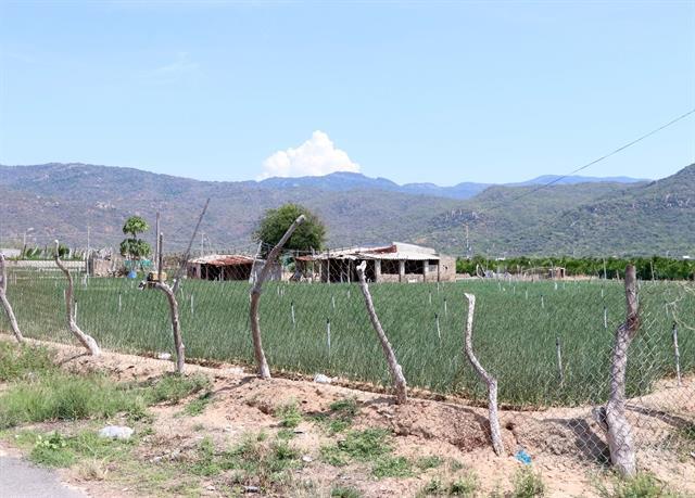 Khánh Hòa Province sees active disbursement for nuclear site clearance