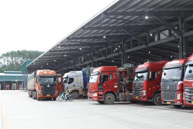 Customs revenue reaches 47.7% of annual target in five months