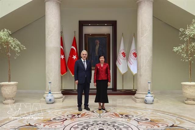 Việt Nam, Türkiye seek stronger local economic connectivity 