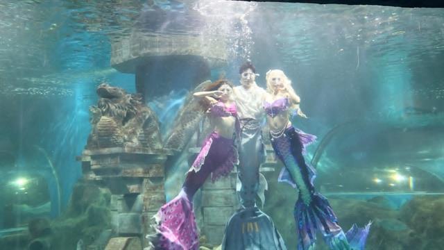 Merpeople 