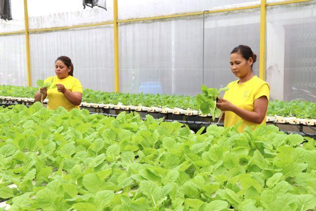 Ministry proposes 2026 tax, land rent payment deferrals to support businesses
