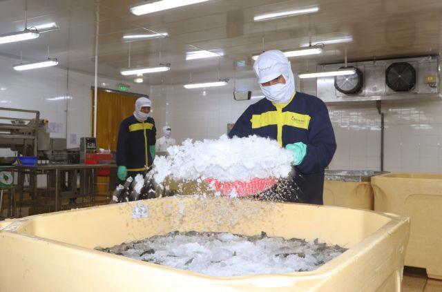 SMEs urged to boost transparency, digitalisation to improve competitiveness