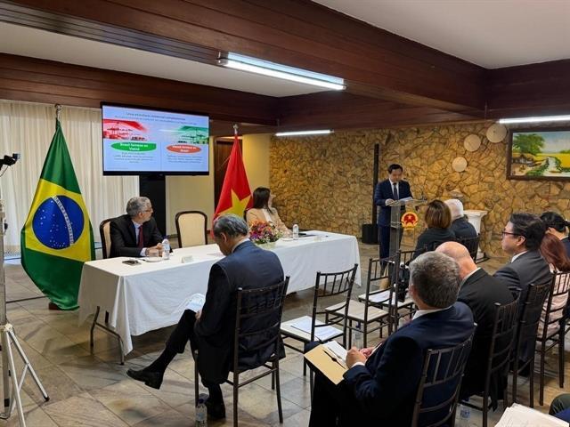 Việt Nam, Brazil seek ways to promote trade, investment cooperation