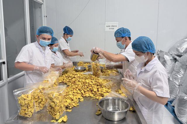 Firms remain key driver of Việt Nams economic growth: 2026 economic census