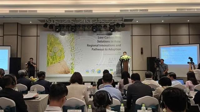 Science-driven solutions key to building low-emission rice sector: experts