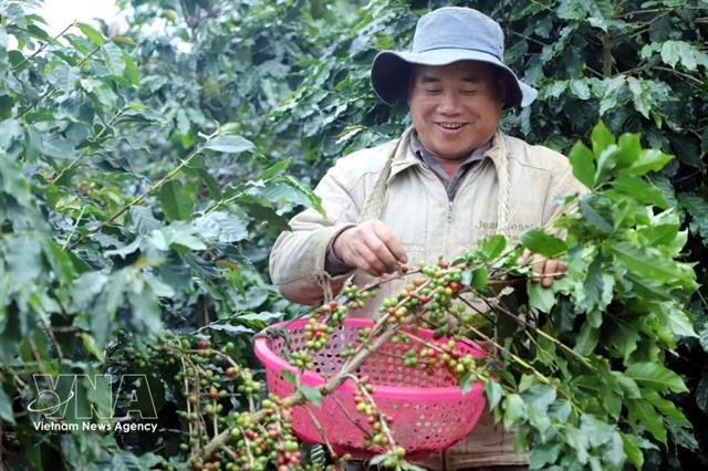 Efforts stepped up to bring Vietnamese products into supply chains in Argentina