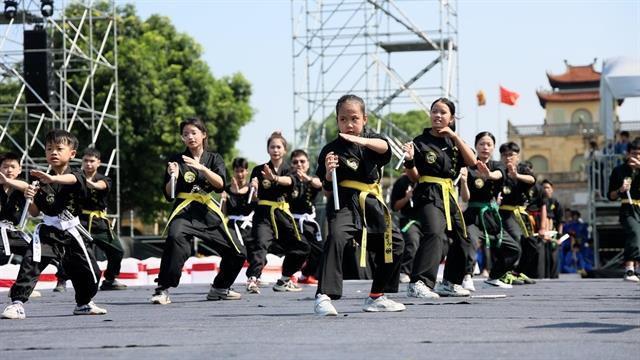 Hà Nội comes alive with martial arts