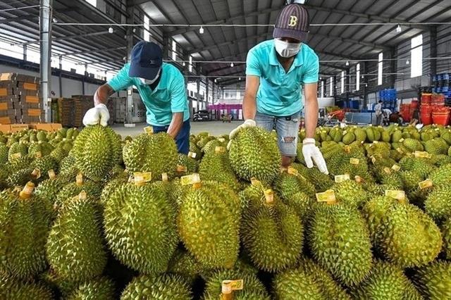 China spends nearly 1b on Vietnamese durian in first half