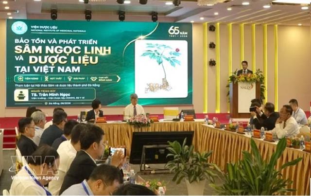 Ngọc Linh ginseng sets sights on global brand recognition