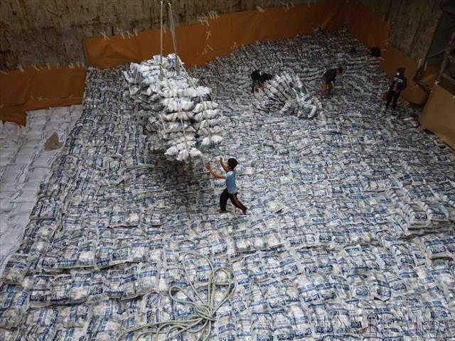 Việt Nams rice exports reach 2.91 billion in eight months