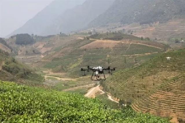 New growth drivers offer Việt Nams agriculture chance to accelerate