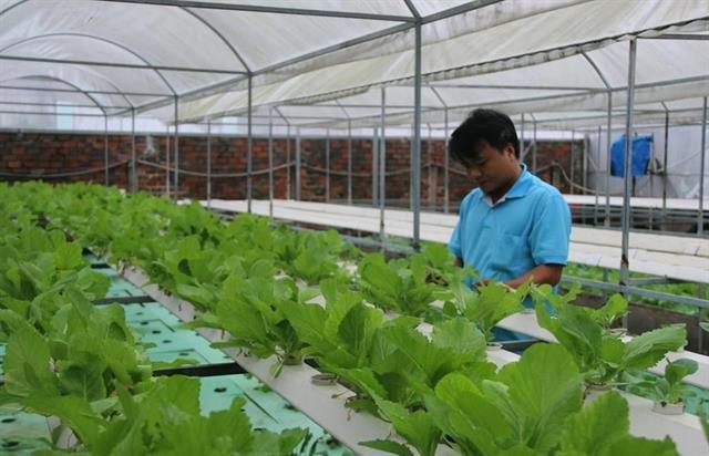 HCM City promotes high-tech urban agriculture and food processing