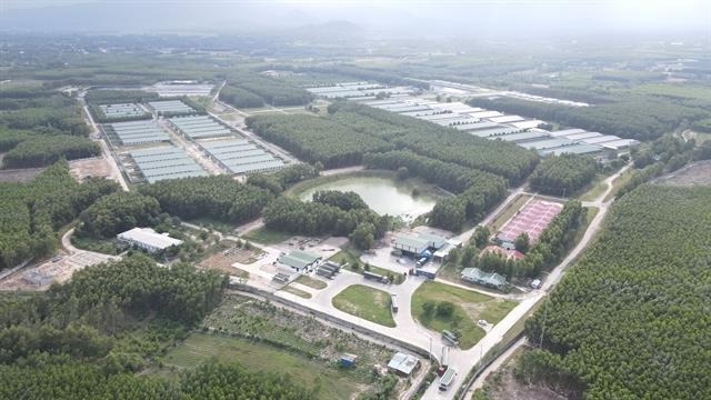 Gia Lai greenlights 146 million agricultural project