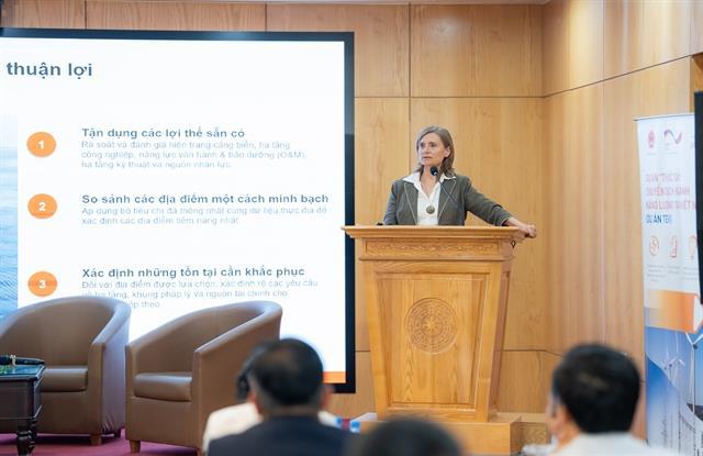 Việt Nam seeks suitable model for renewable energy hubs