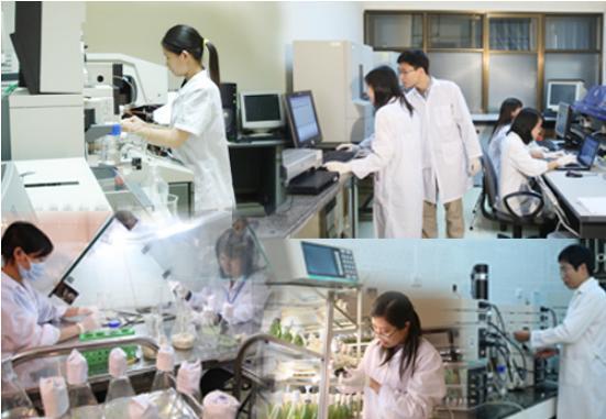 Seminar discusses technology needs of Vietnamese firms